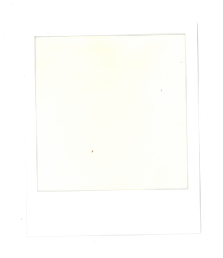 Illustration for article titled This Slick Camera Brings Polaroid Into the Digital Age